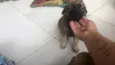 Estão todos sem nome