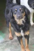 Airon Pequeno