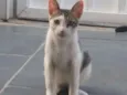 Júlio