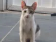 Júlio