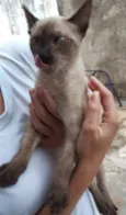 LUAN