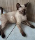 LUAN