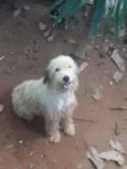 Lindinha 