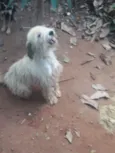 Lindinha 