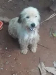 Lindinha 