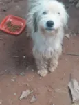 Lindinha 
