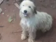 Lindinha 