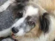 Bilu