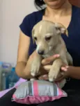 Charlie