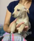 Charlie