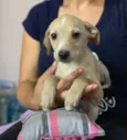 Charlie