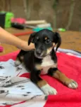 Zoe