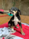 Zoe