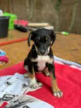 Zoe