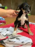 Zoe