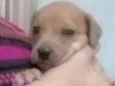 Sem nome