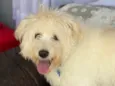 Tobby