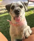 Menina