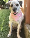 Menina