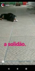 Zé Pequeno