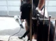 ?