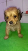 Max, Thor, Bethina