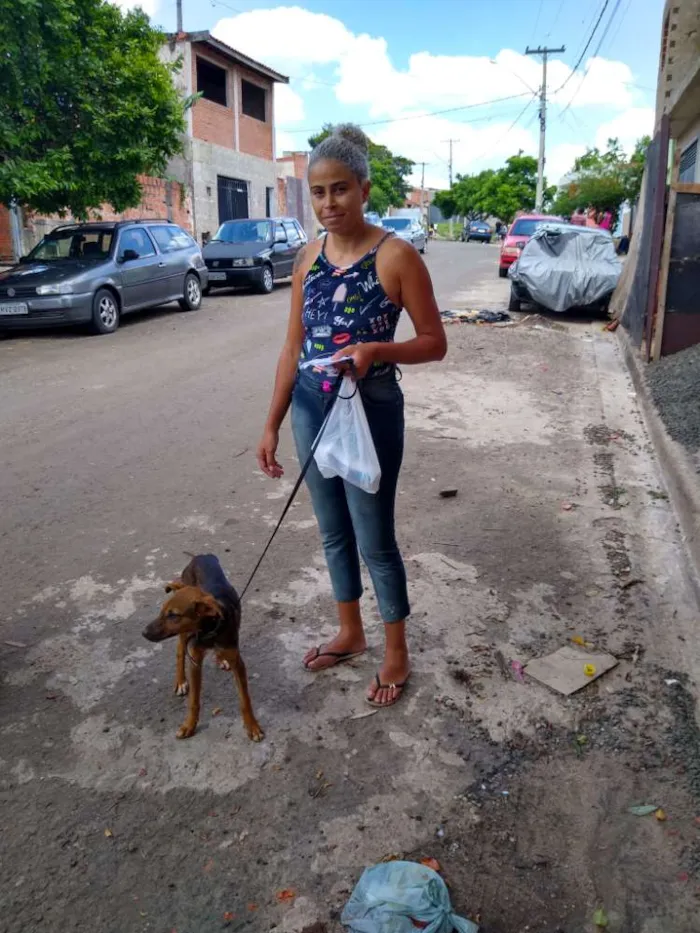 Cachorro ra a SRD idade 1 ano nome Boneca