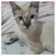 Luiz