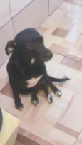 Neguinha