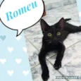 Romeu