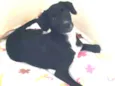 Tuinha