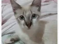 Luiz