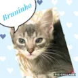 Bruninho