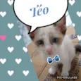 Téo