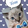 Tom