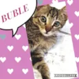 Buble