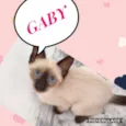 Gaby