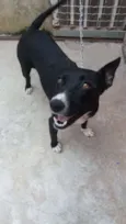 Preta