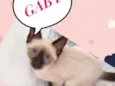 Gaby