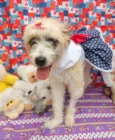 BELINHA