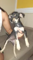 Kiara