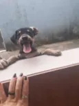 Kiara