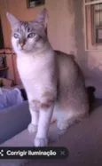 Nero
