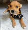JUQUINHA