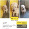 Príncipe