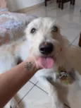 Paçoca