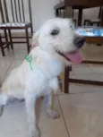 Paçoca
