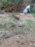 Zap