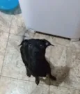 Flash