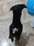 Flash